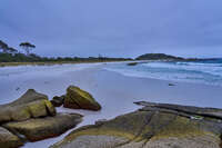 20241004140909_Serene_Beach_at_Bay_of_Fires